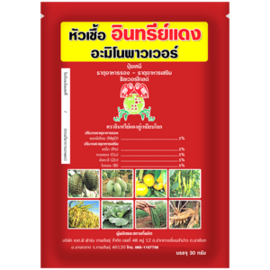 หัวเชื้อ